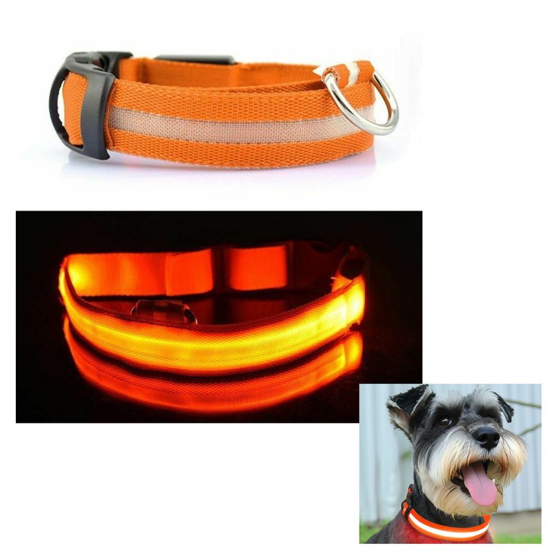 GENERICO - COLLAR LED PARA MASCOTAS NARANJA TALLA XS