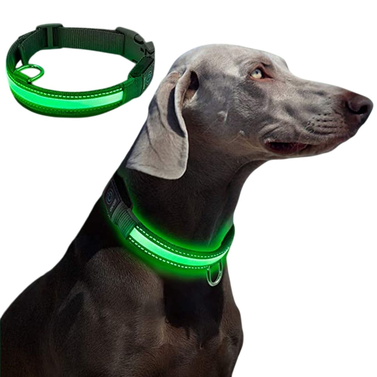 GENERICO - COLLAR LED PARA MASCOTAS CELESTE TALLA L