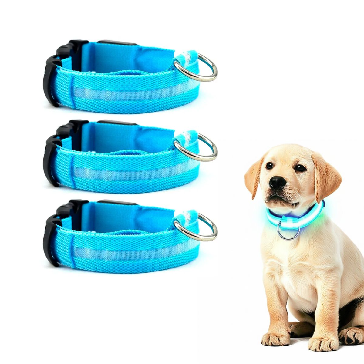 GENERICO - PACK X3 COLLAR LED PARA MASCOTA CELESTE TALLA S