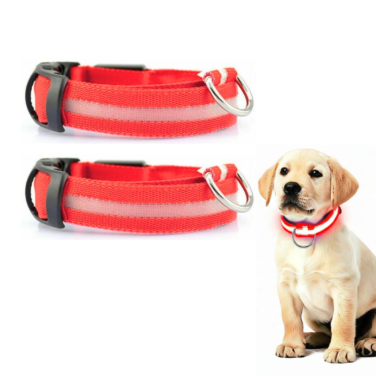 GENERICO - PACK X2 COLLAR LED PARA MASCOTA ROJO TALLA L