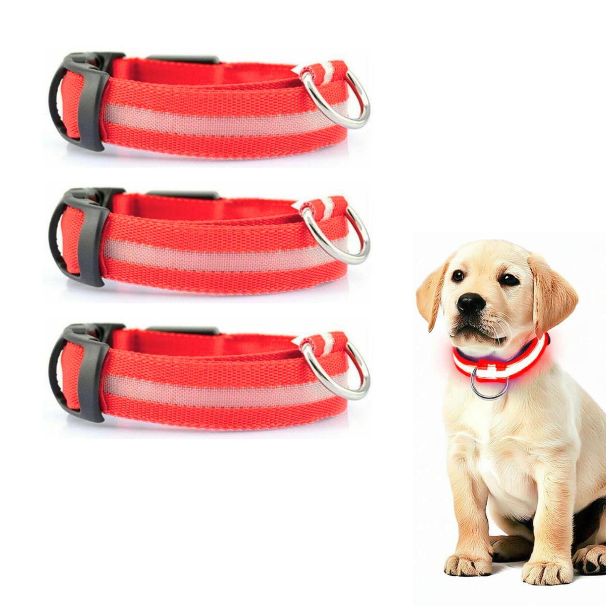 GENERICO - PACK X3 COLLAR LED PARA MASCOTA ROJO TALLA M