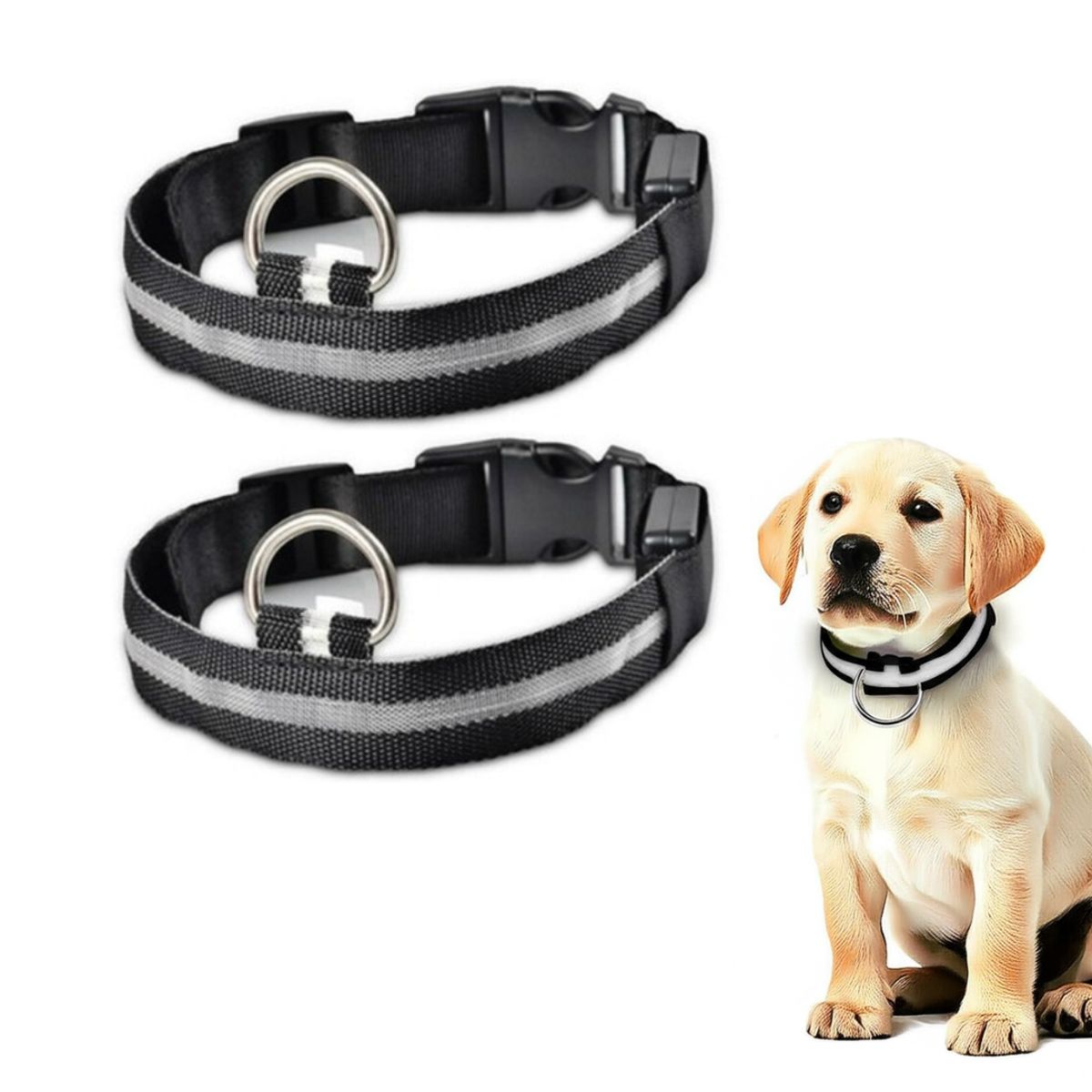 GENERICO - PACK X2 COLLAR LED PARA MASCOTA NEGRO TALLA XS