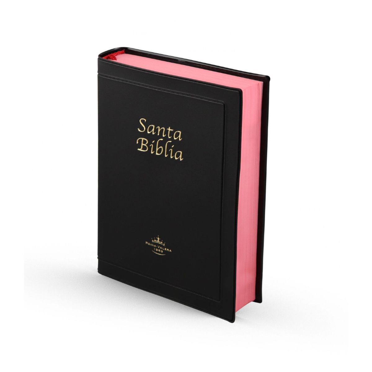 GENERICO - Biblia Reina Valera 1960 Letra Grande Filo Rojo