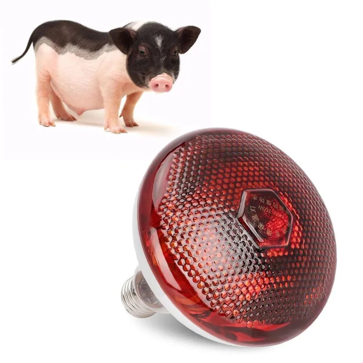 GENERICO - FOCO INFRARROJO CALEFACCIÓN PARA CERDOS PERROS POLLOS 100W