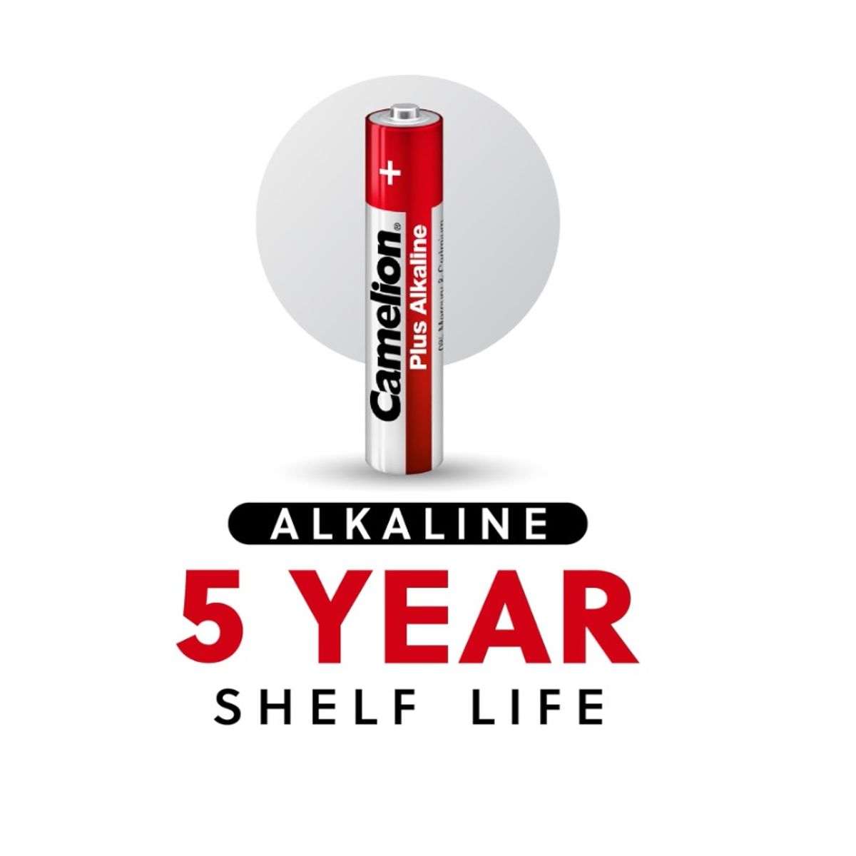 CAMELION - PILAS CAMELION AAAA X 2 UNIDADES DE 1.5 VOLTIOS Original