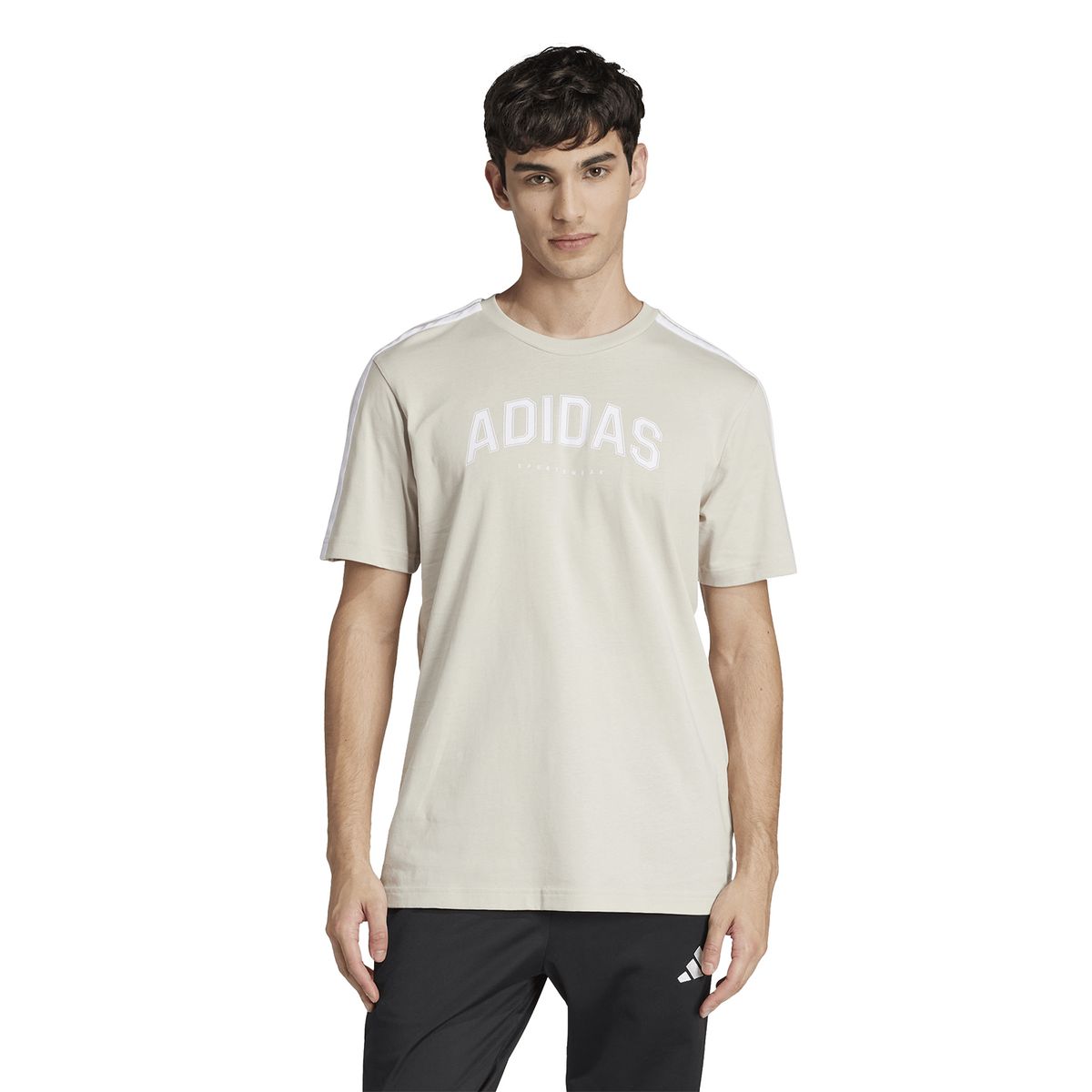 ADIDAS - Polo Urbano Hombre Adidas M C Colleg Tee