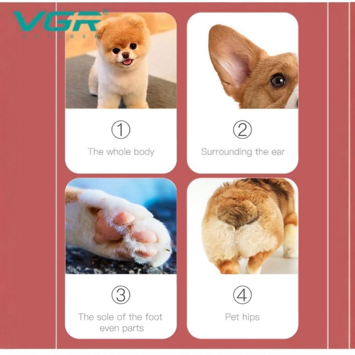 GENERICO - Máquina Cortadora de Pelo Profesional VGR para Mascotas