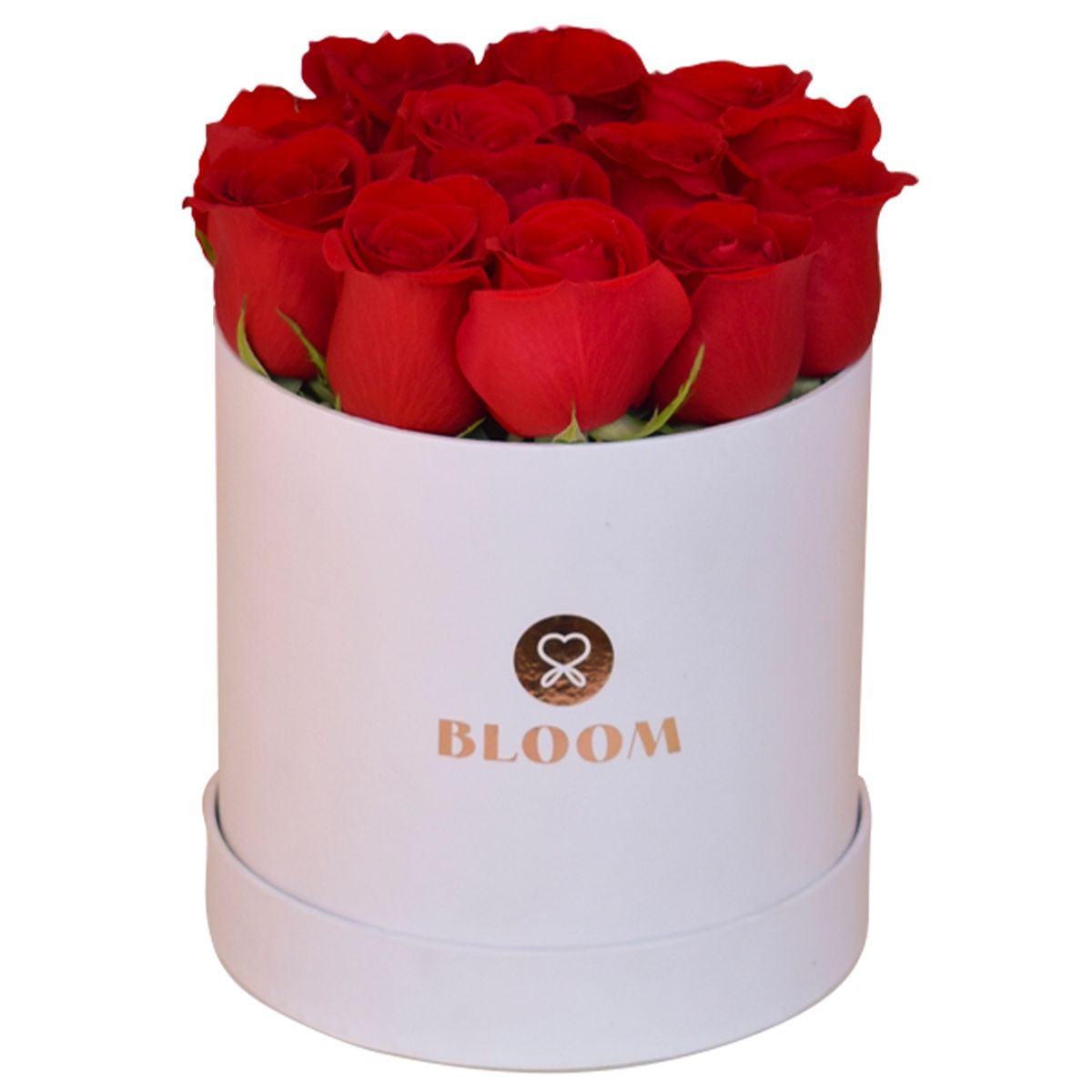 BLOOM - Box con 12 rosas rojas