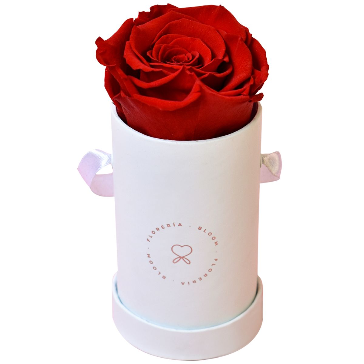 BLOOM - Arreglo con rosas eternas o preservadas rojas