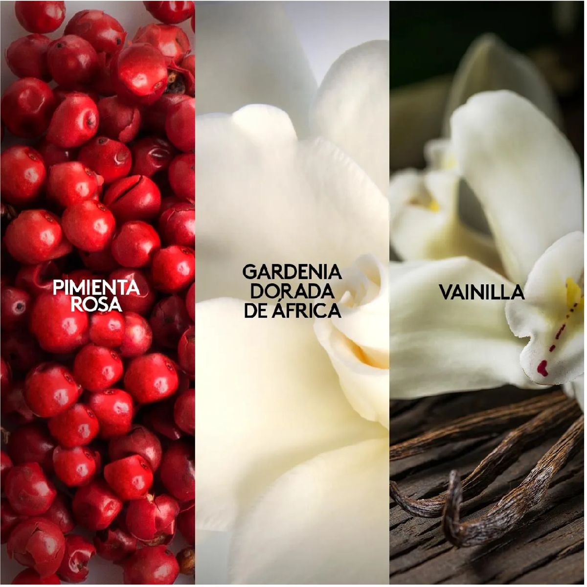 ESIKA - Mía Perfume de Mujer, 45 ml