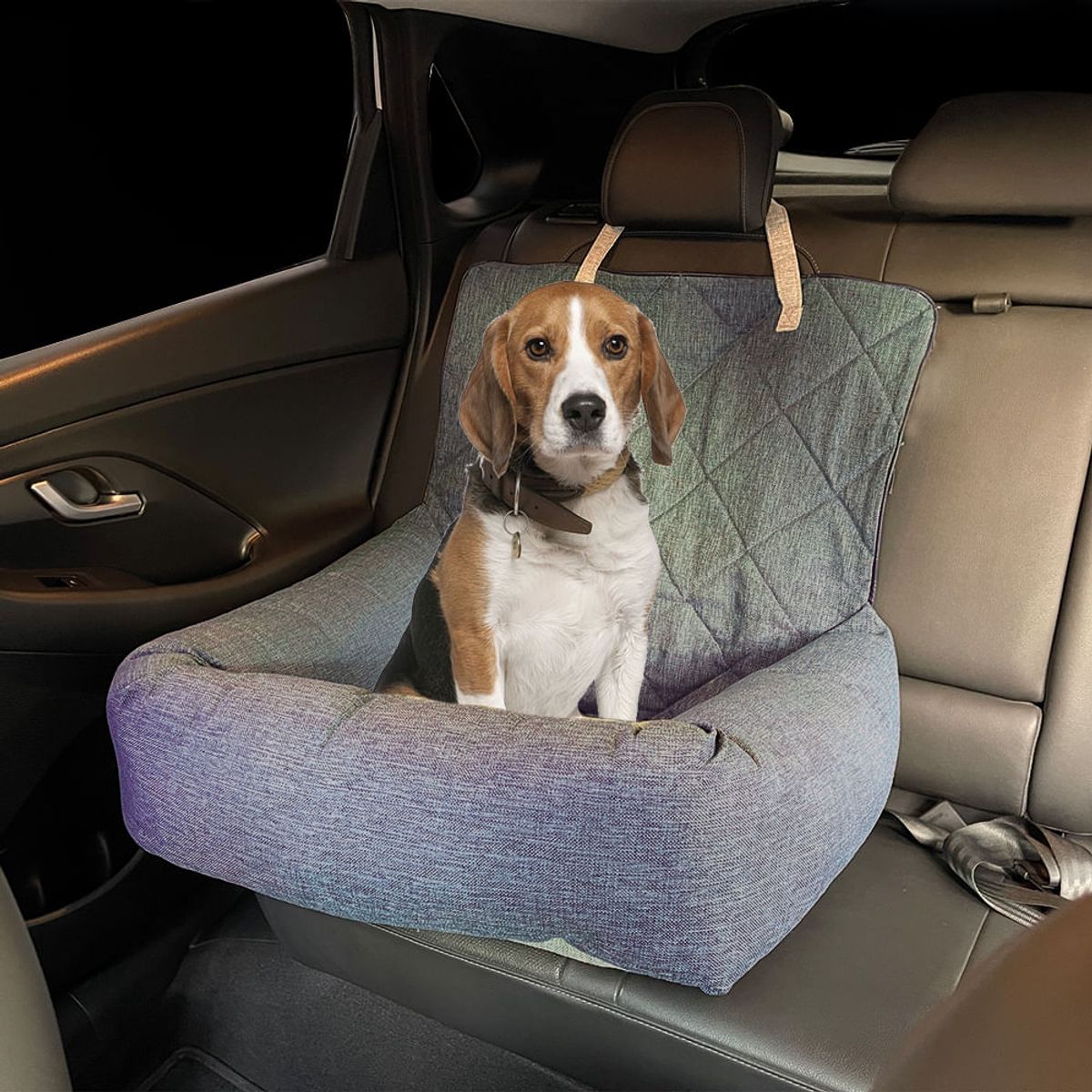 MULTITOP - Ruffo Asiento Mascota P Auto Azul Acero