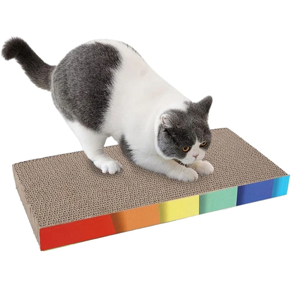 AMICATS - Rascador para Rectangular para Gatos