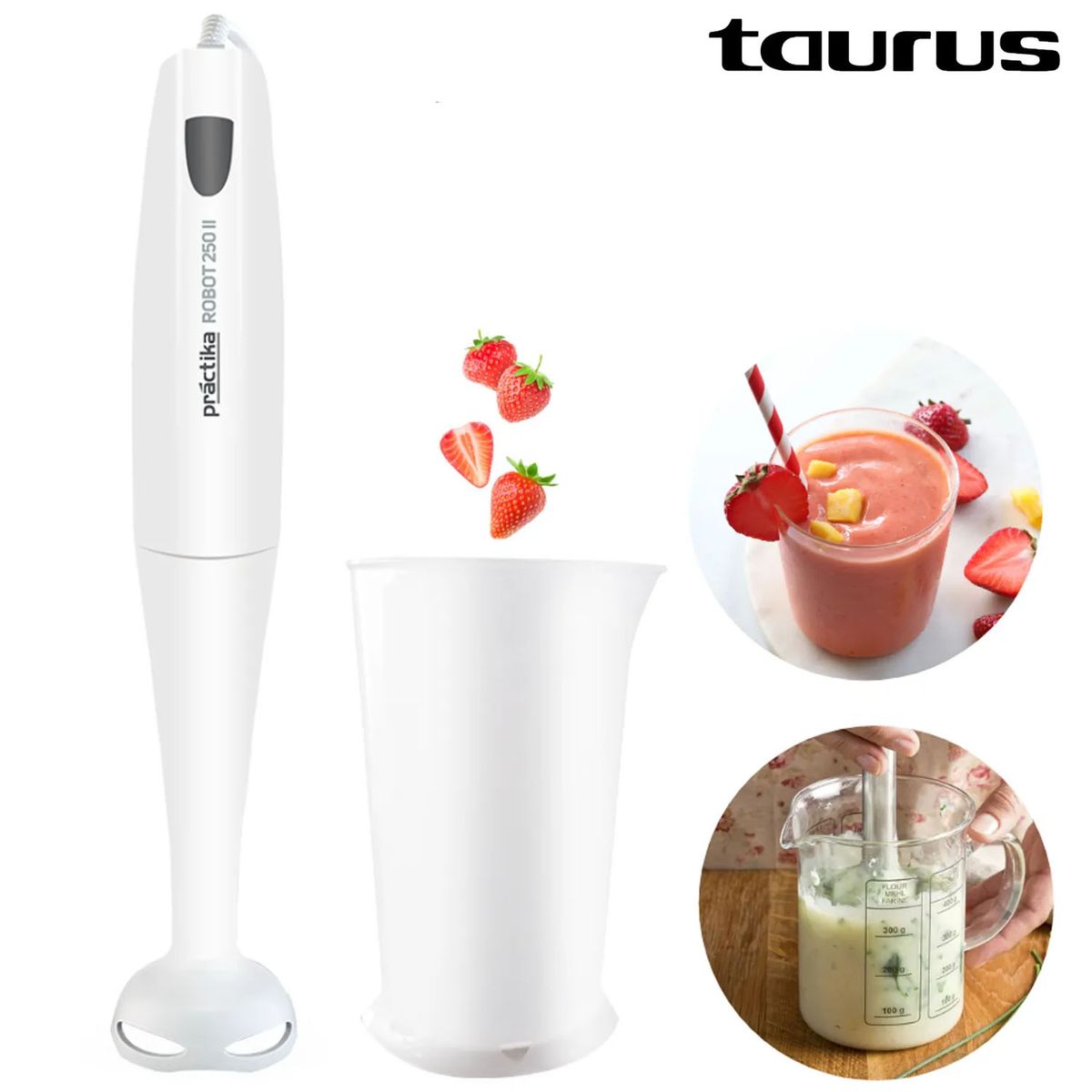 PRACTIKA - BATIDORA DE INMERSION ROBOT 250 II