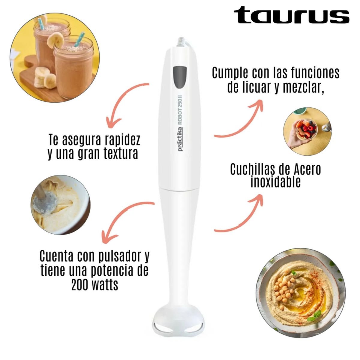 PRACTIKA - BATIDORA DE INMERSION ROBOT 250 II