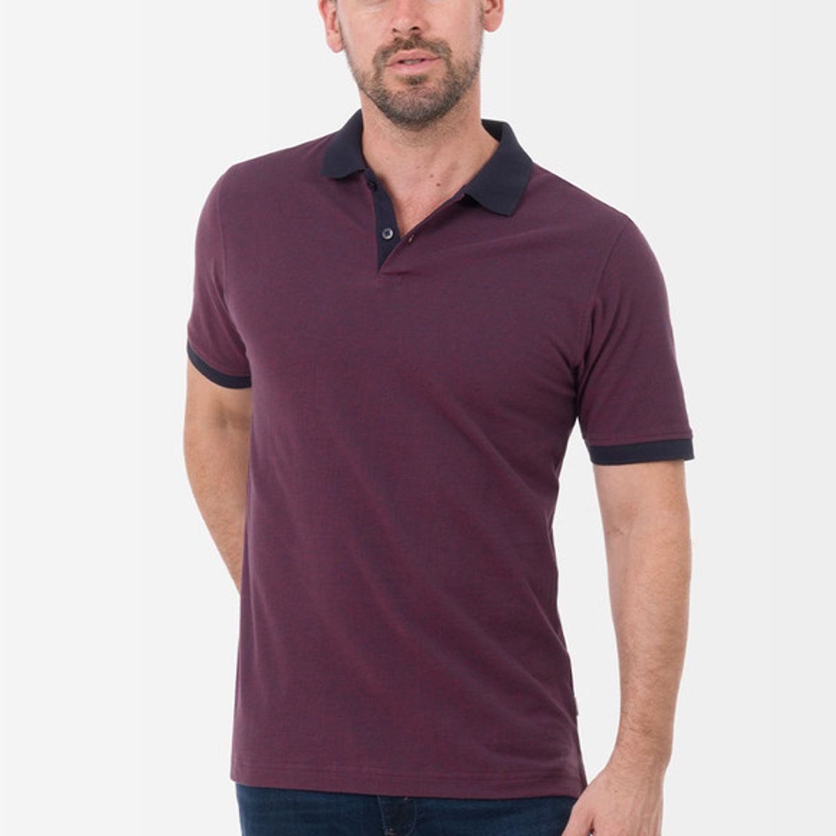 NORTON - Polo Box Pique Hombre Casian Norton