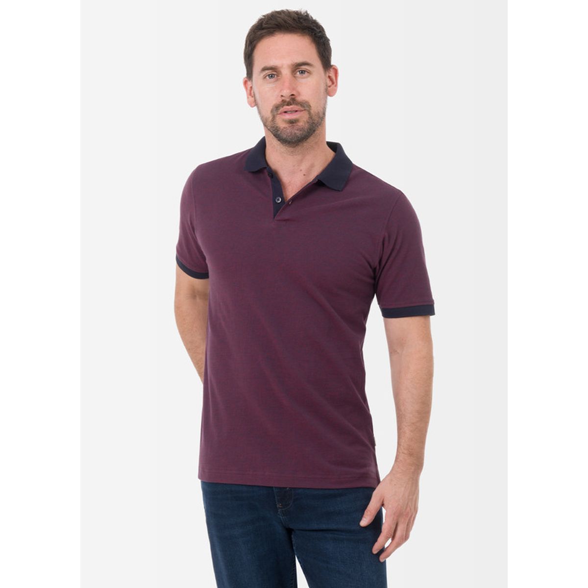 NORTON - Polo Box Pique Hombre Casian Norton