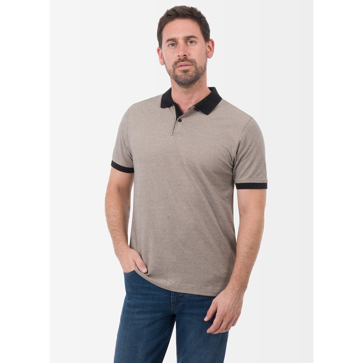 NORTON - Polo Box Pique Hombre Casian Norton