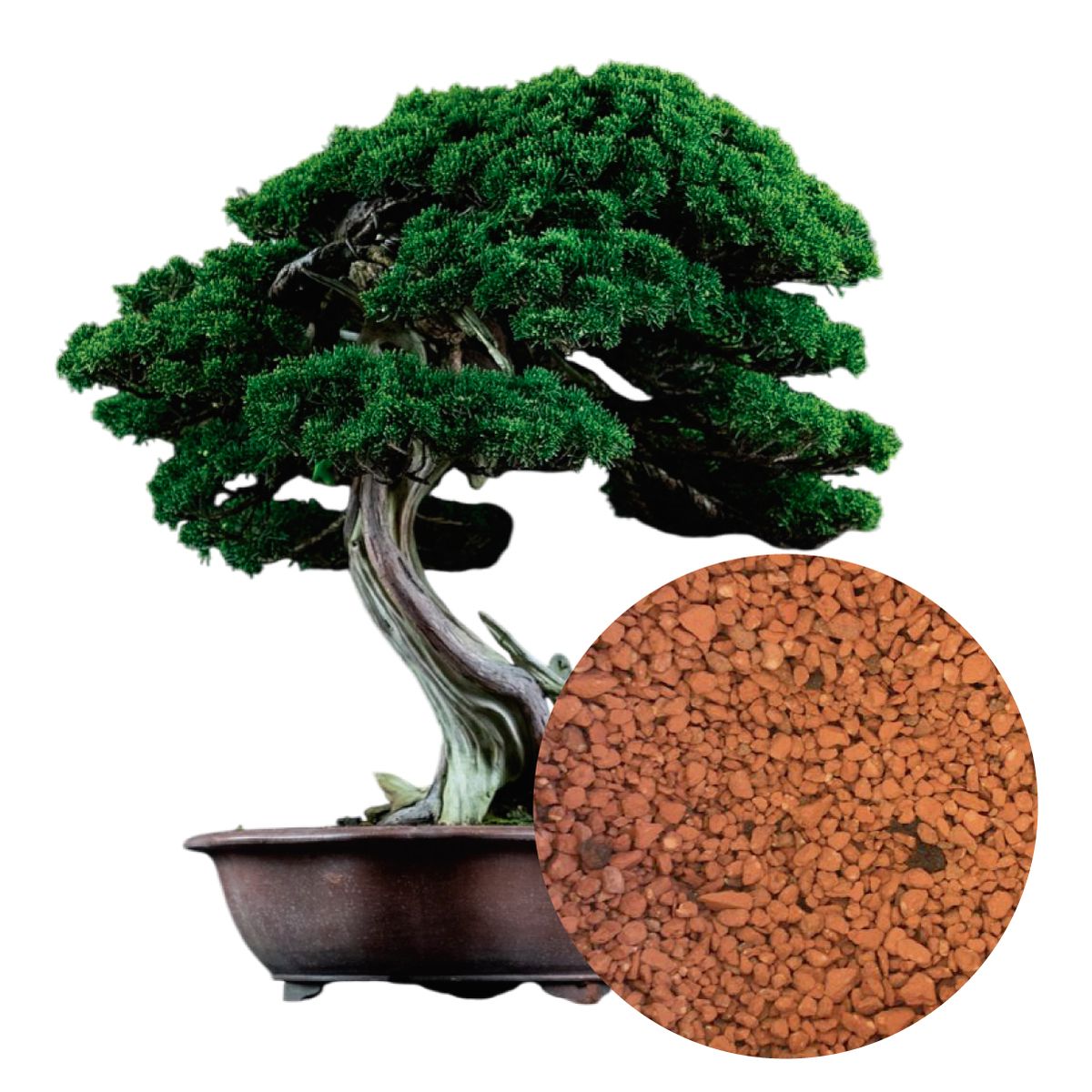 GENERICO - Akadama Peruana Arcilla Cocida bolsa x 2 Kg