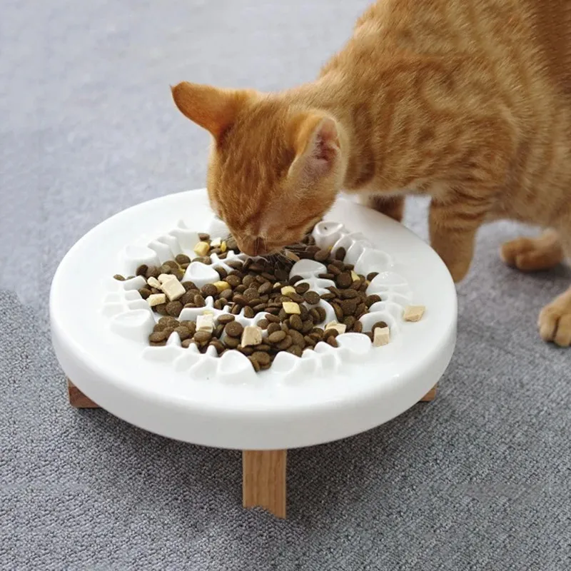 GENERICO - PLATO CERÁMICA ANTI ESTRÉS - GATOS