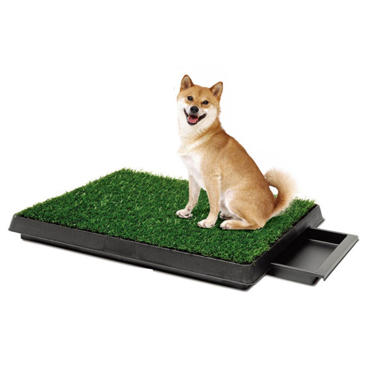 QUE PATAS PET SHOP - Baño Ecológico Portátil para Perros Bandeja Grass Educador