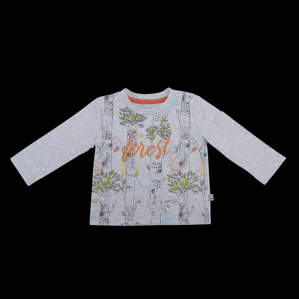 PILLIN - Polo Bebé Niño PVV626MLG