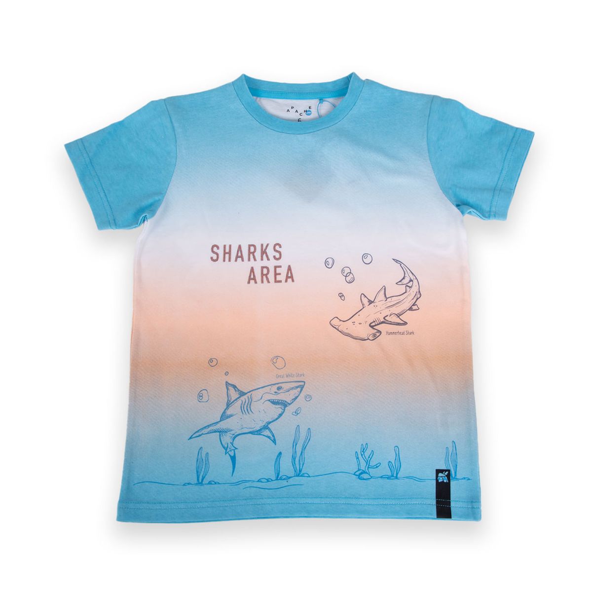 PILLIN - Polo Niño PVA642-24CAL