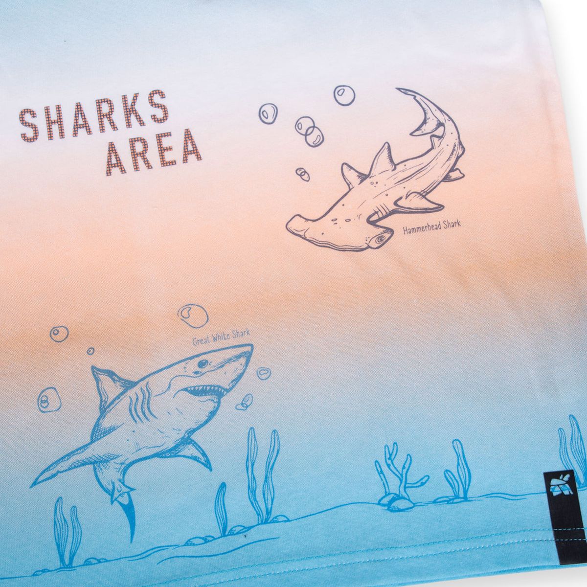 PILLIN - Polo Niño PVA642-24CAL