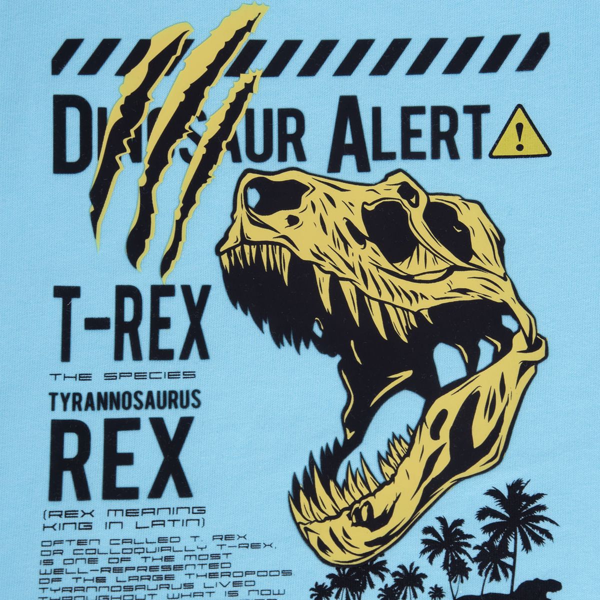 PILLIN - Polo Niño PVA663-24CAL