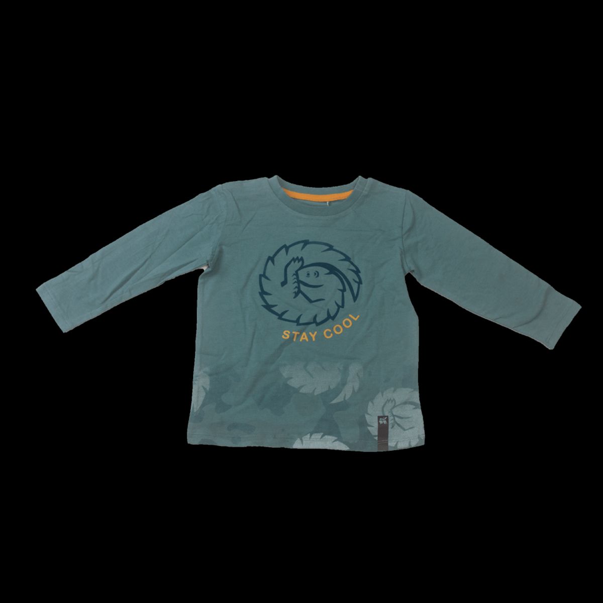 PILLIN - Polo Niño Manga Larga PVV632VER