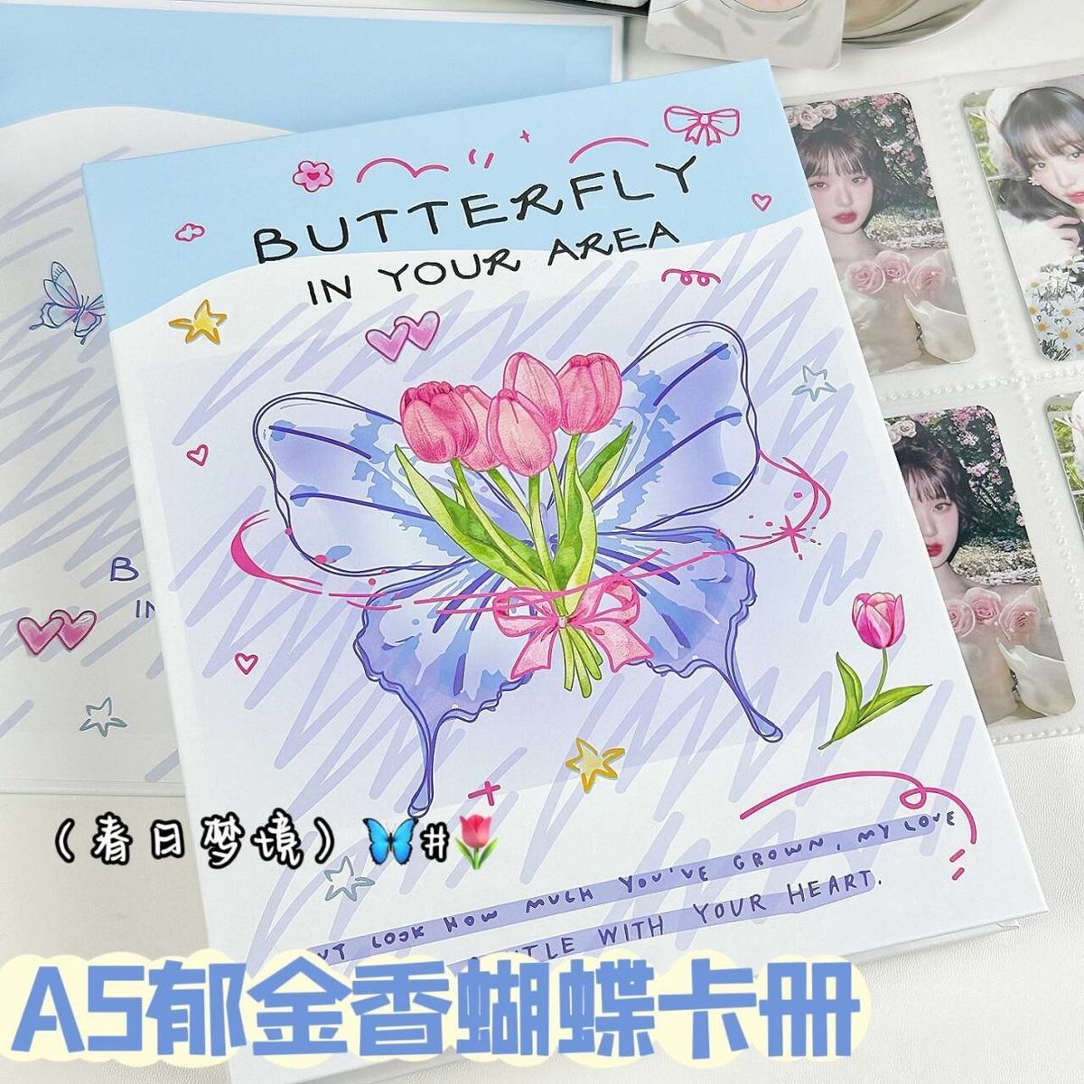 GENERICO - BINDER A5 MARIPOSA CON 10 MICAS 4 ESPACIOS