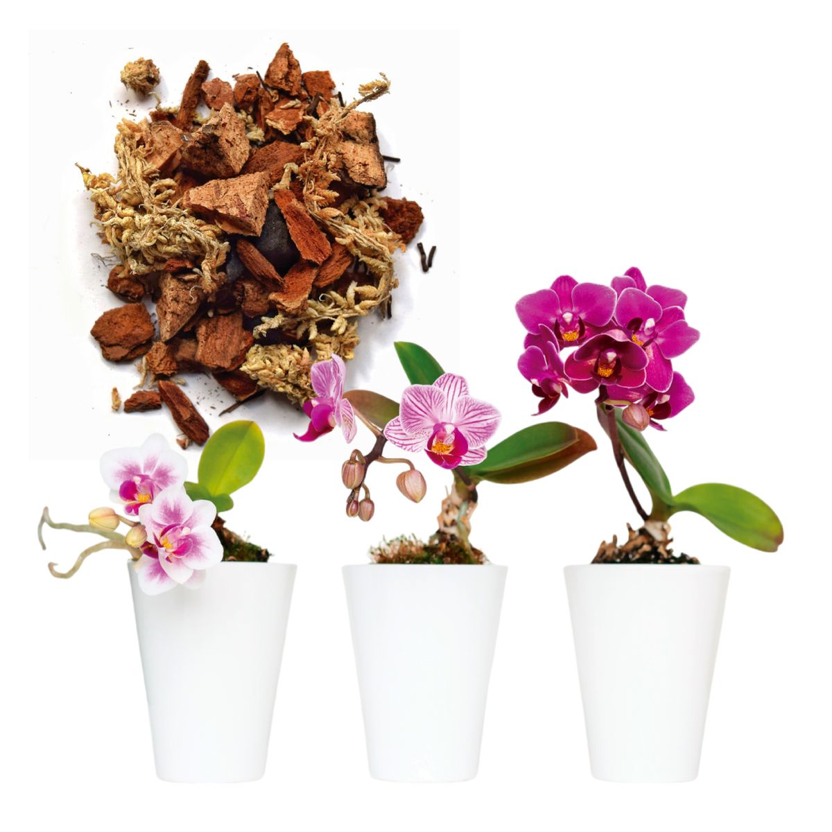 GENERICO - Sustrato para Orquídeas bolsa x 1 kg