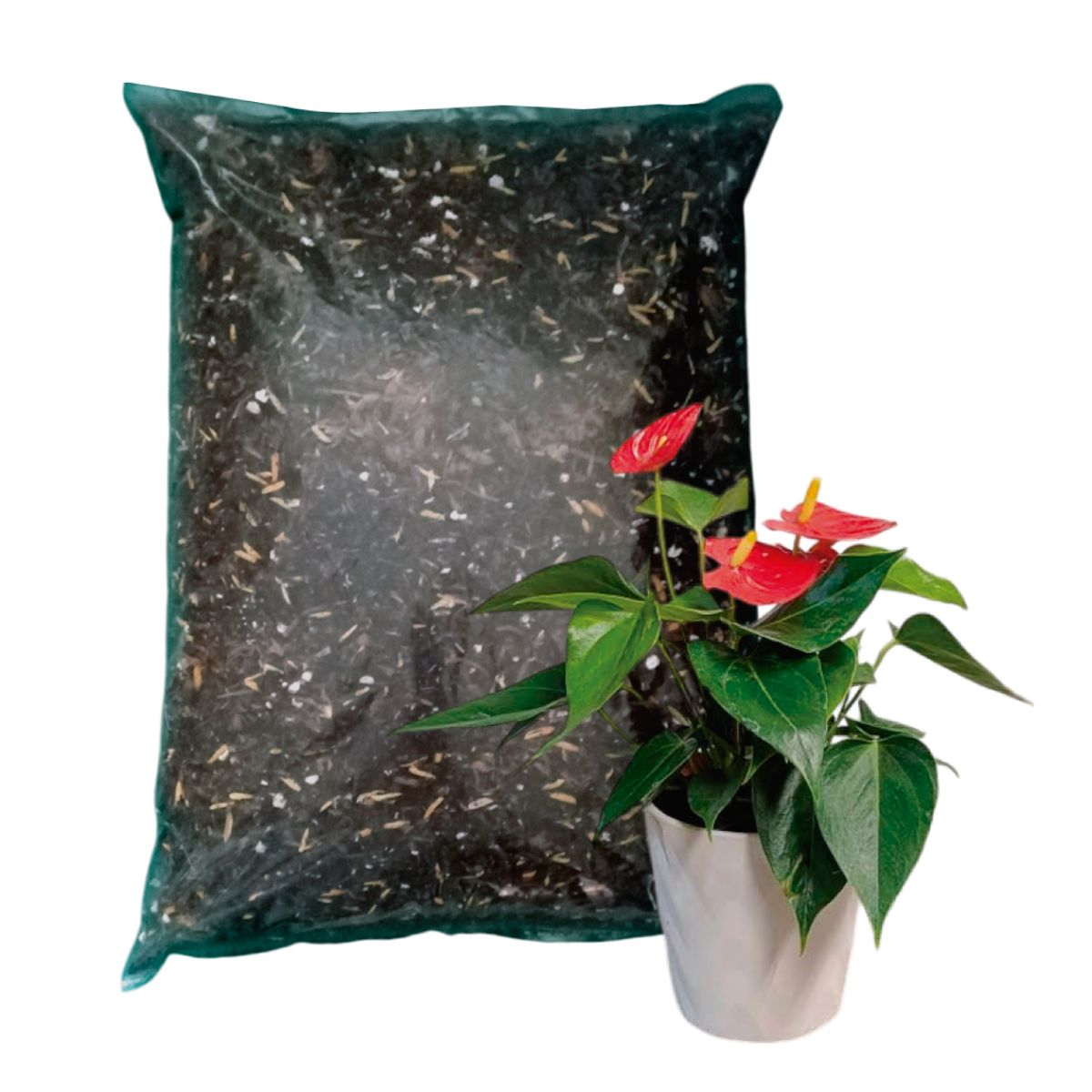 GENERICO - Sustrato para Anturios bolsa x 5 Litros (1.5 kg)