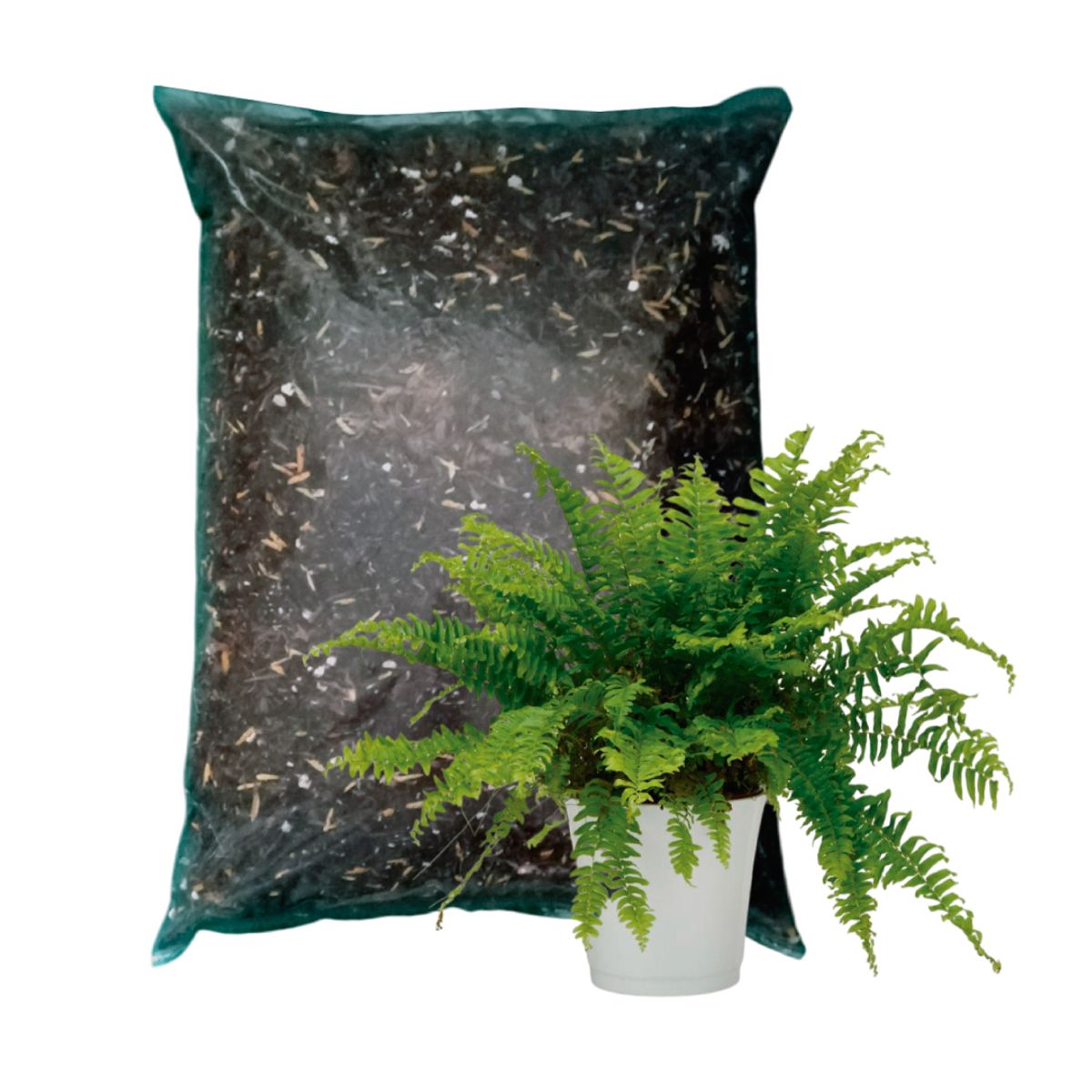 GENERICO - Sustrato para Helechos bolsa 5 litros (1.5 kg)