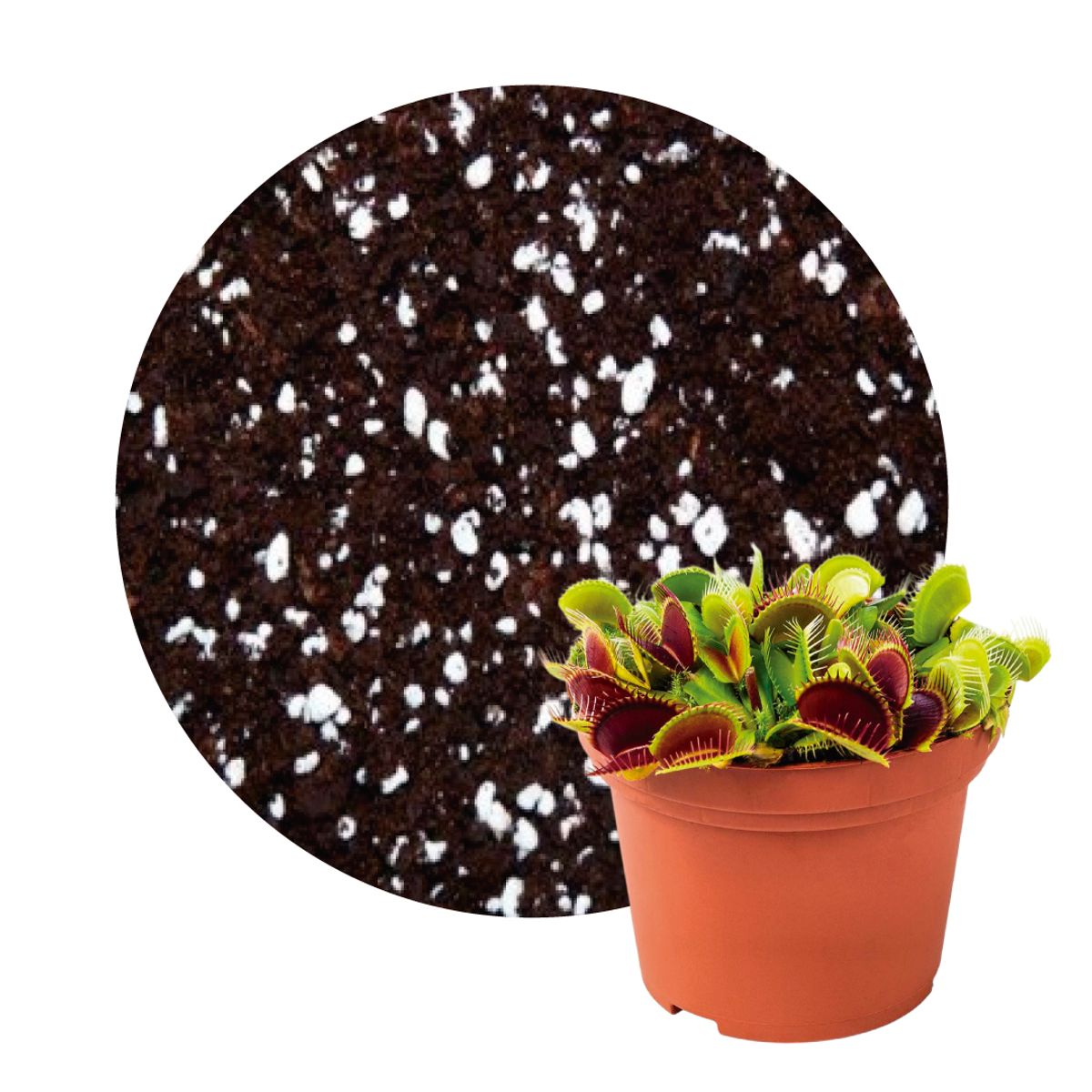 GENERICO - Sustrato Plantas Carnívoras bolsa x 4 Litros (1.5 kg)