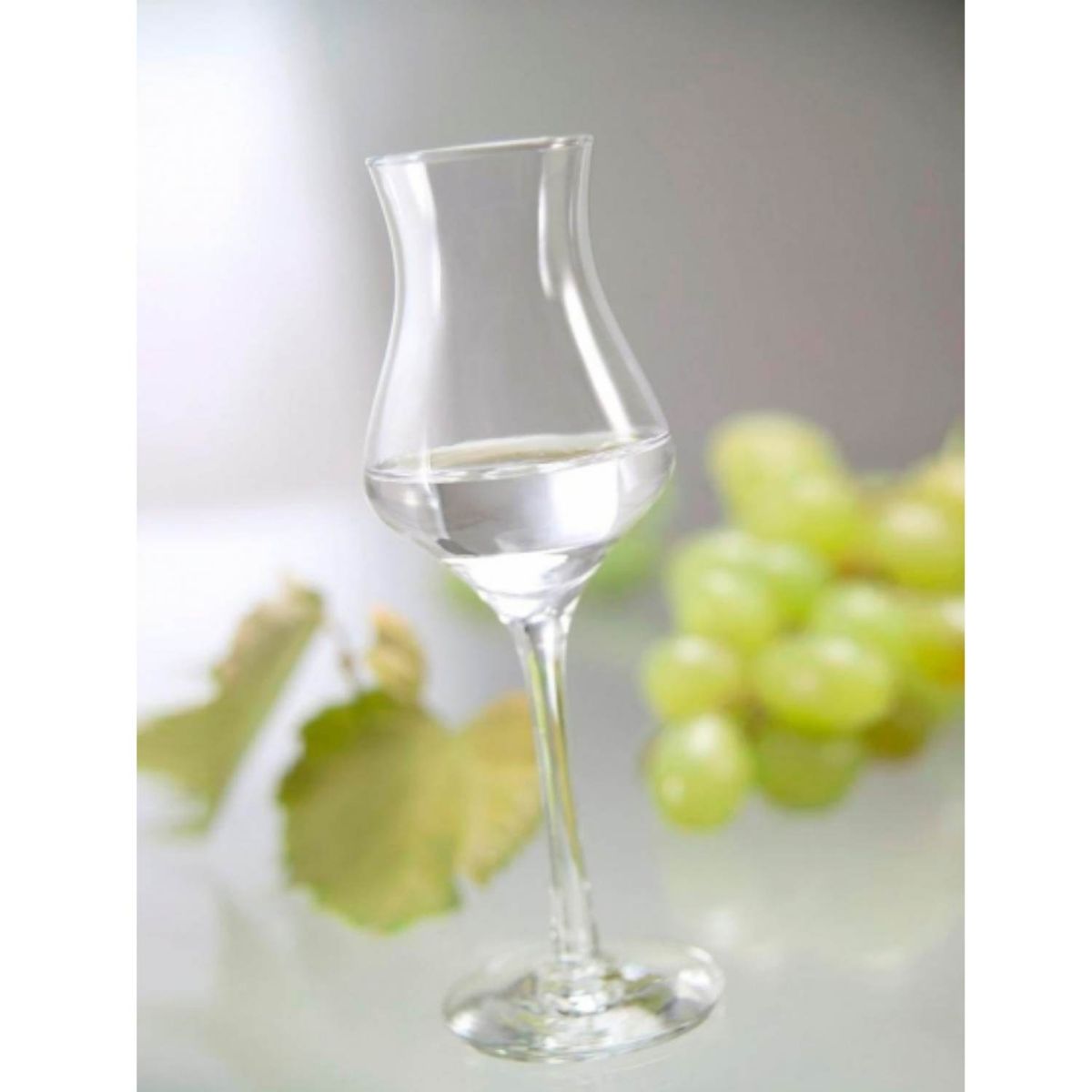 NADIR - Copa de Vidrio Alambic Pisco Nadir 90 Ml 12 Piezas