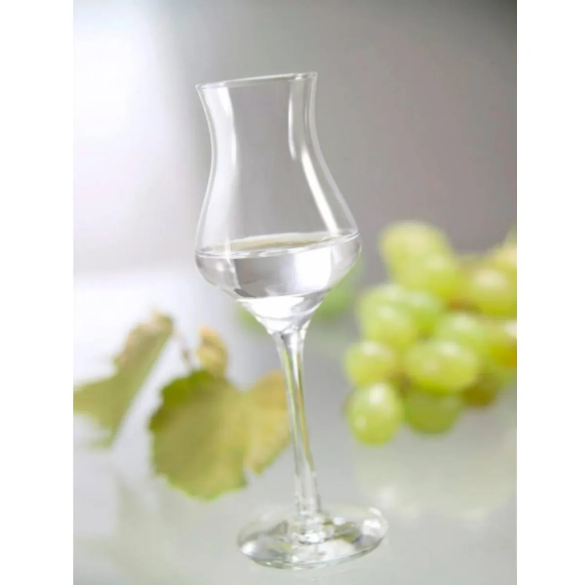 NADIR - Copa de Vidrio Alambic Pisco Nadir 90 Ml 12 Piezas