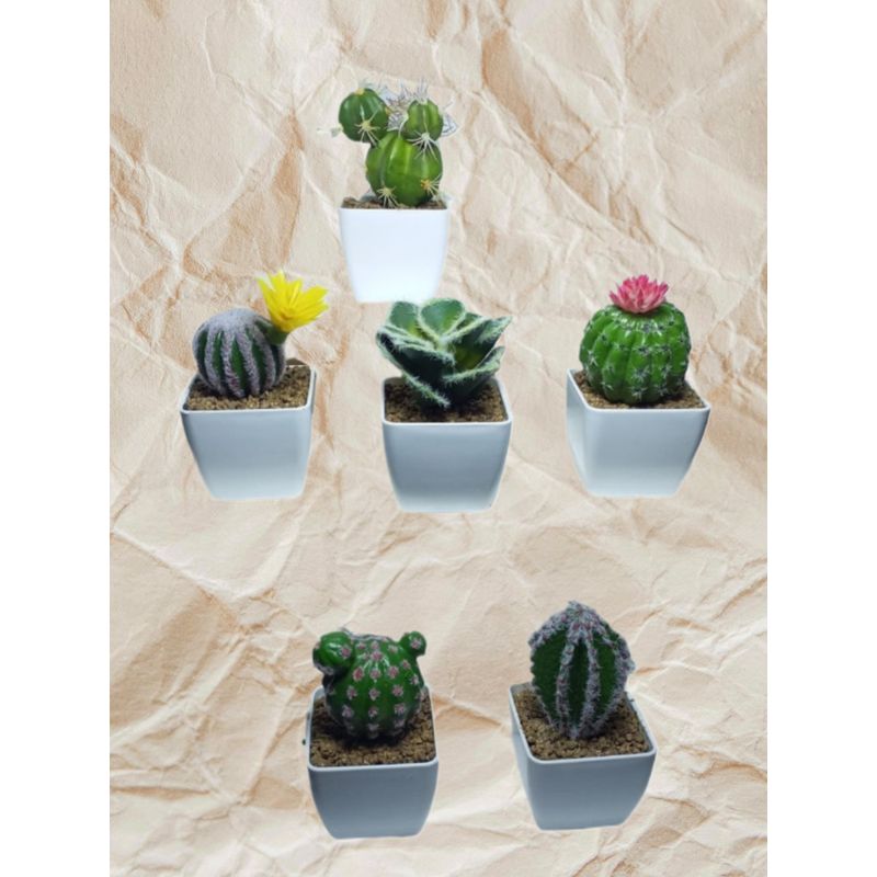 GENERICO - SET DE 6 PLANTAS ARTIFICIAL MINI SUCULENTAS CACTUS CON MACETA