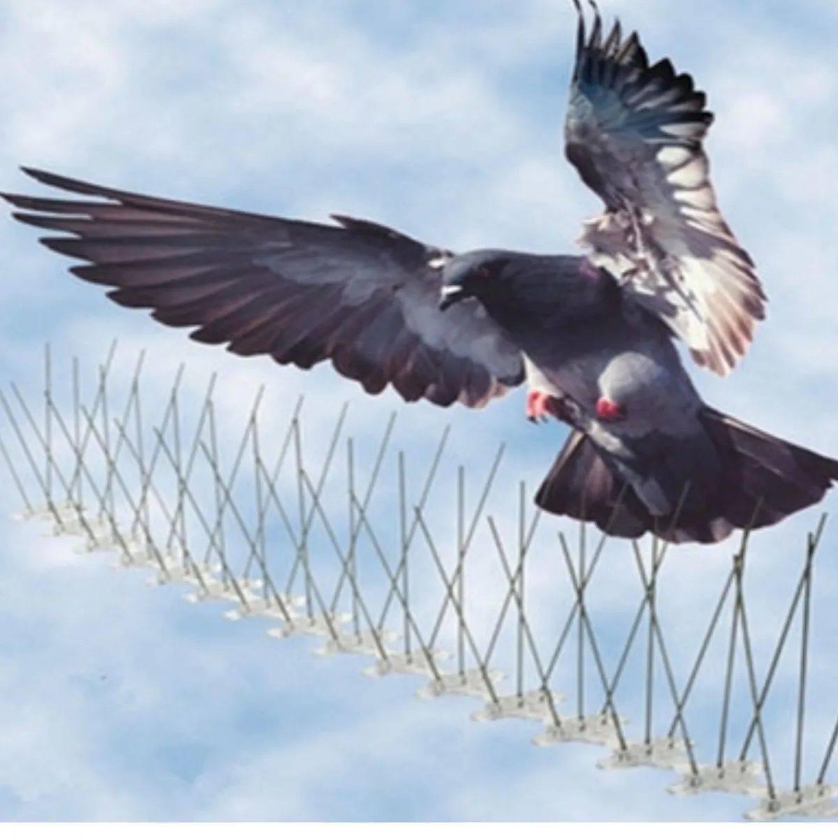 GENERICO - Accesorio Espanta aves Púas Anti-Aves de Acero Inoxidable 3 m (6 uni)