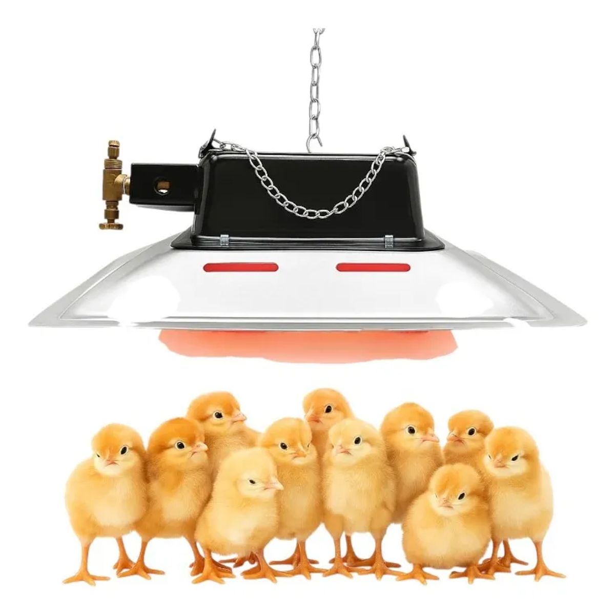 GENERICO - CAMPANA LAMPARA A GAS MEDIANA PARA 500 POLLOS