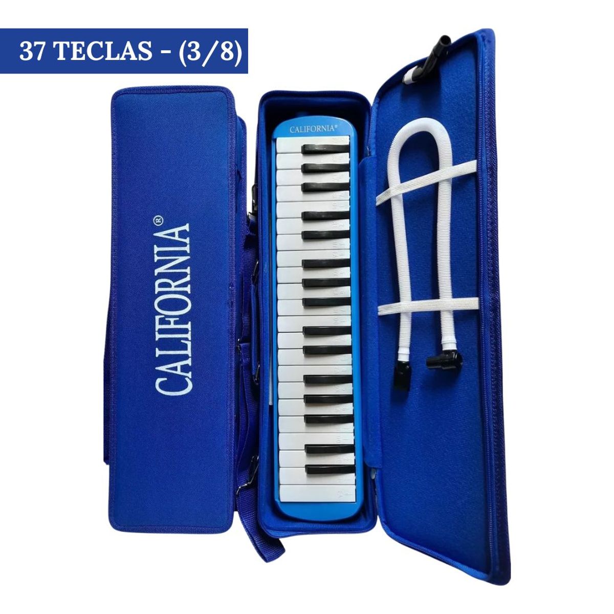 CALIFORNIA - Melodica de 37 teclas "CALIFORNIA" - Azul