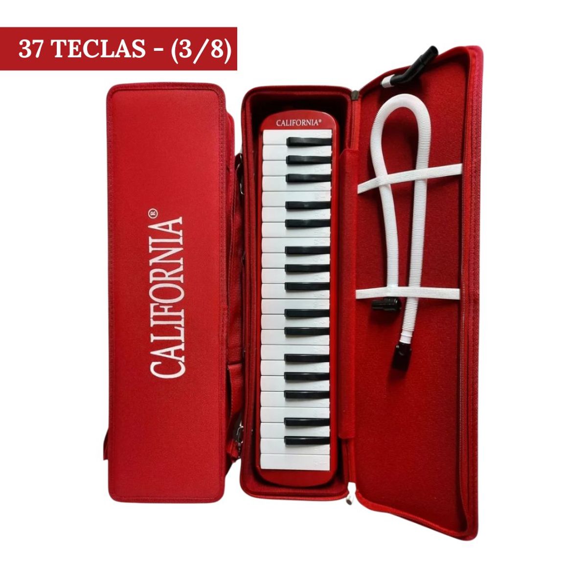CALIFORNIA - Melodica de 37 teclas "CALIFORNIA" - Rojo