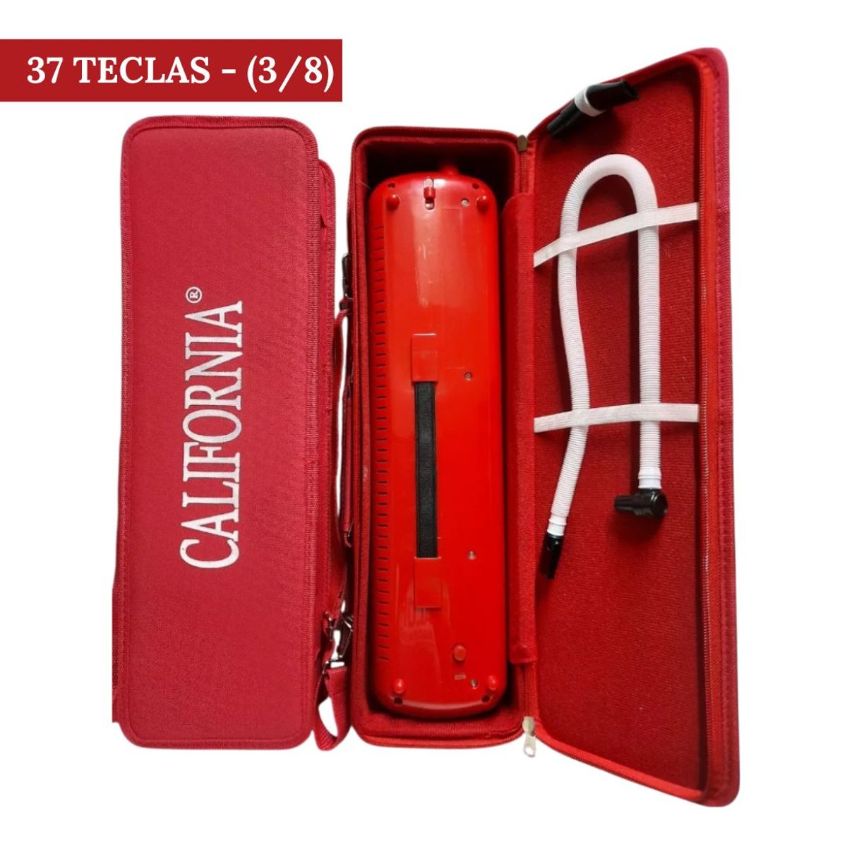 CALIFORNIA - Melodica de 37 teclas "CALIFORNIA" - Rojo