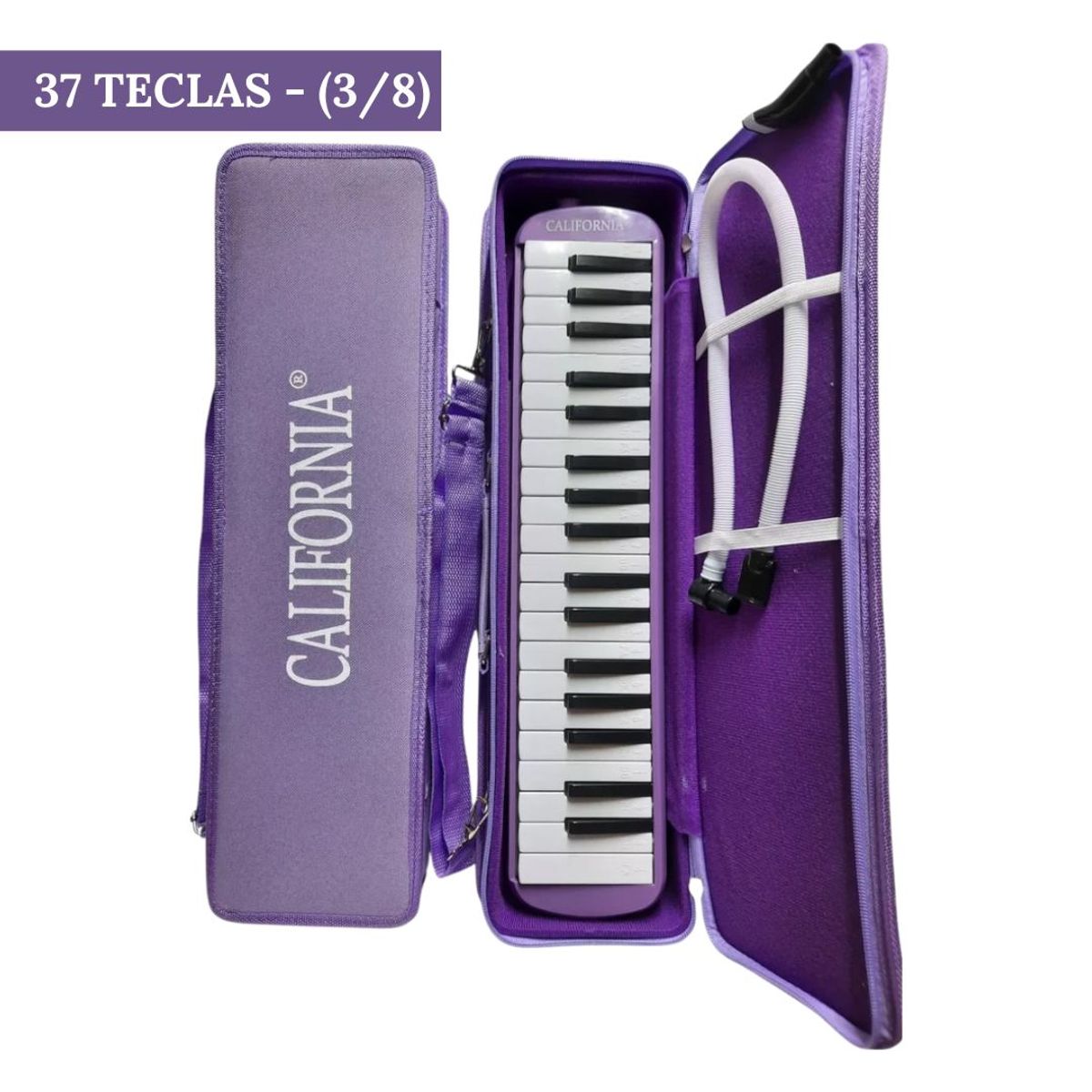 CALIFORNIA - Melodica de 37 teclas "CALIFORNIA" -Lila