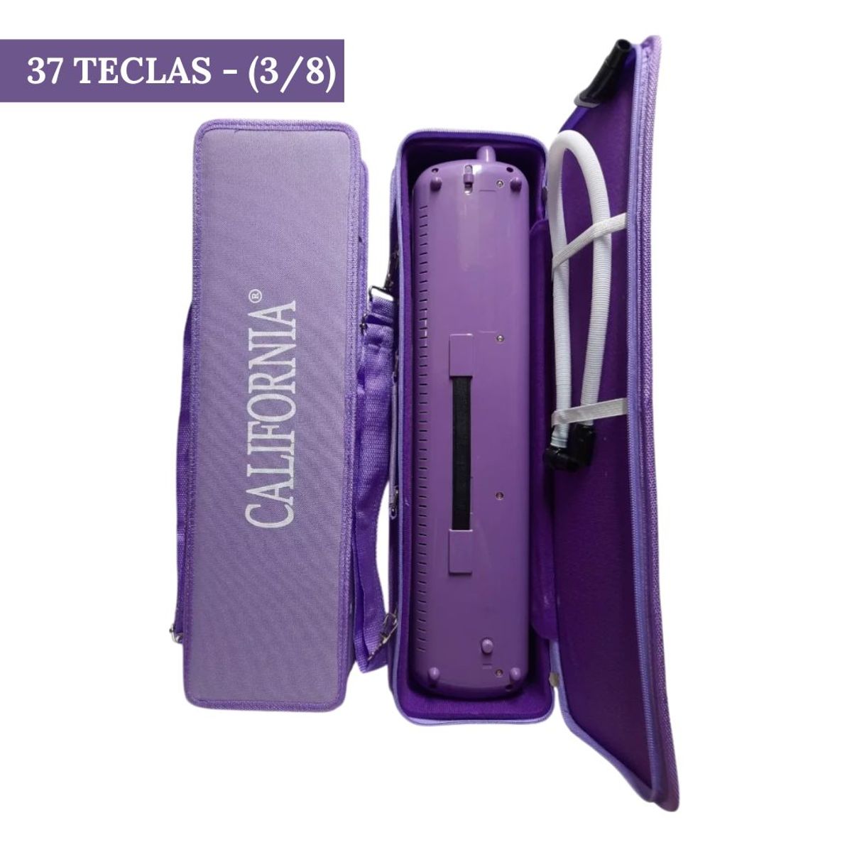 CALIFORNIA - Melodica de 37 teclas "CALIFORNIA" -Lila