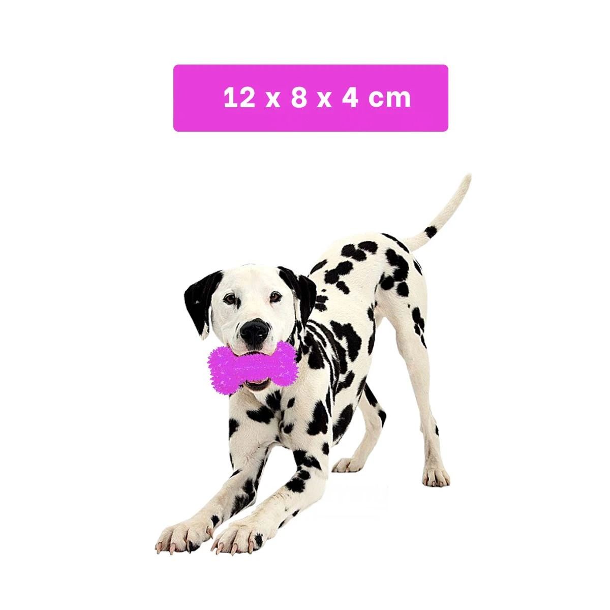 GENERICO - Hueso de Juguete con Luces Led Morado Y+Regalo Agendita