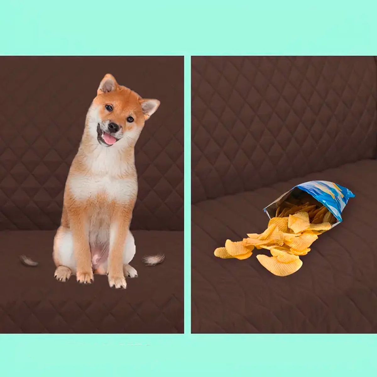 QUE PATAS PET SHOP - Funda Forro Cobertor Para Muebles De 2 Cuerpos Gris