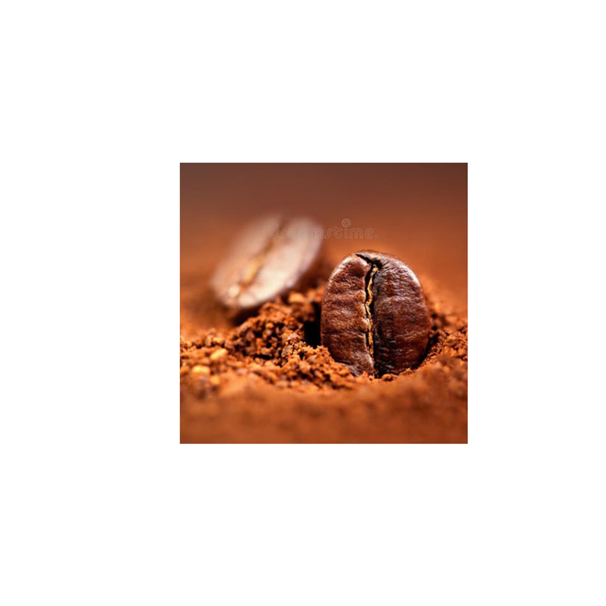 GENERICO - NIBS DE CACAO