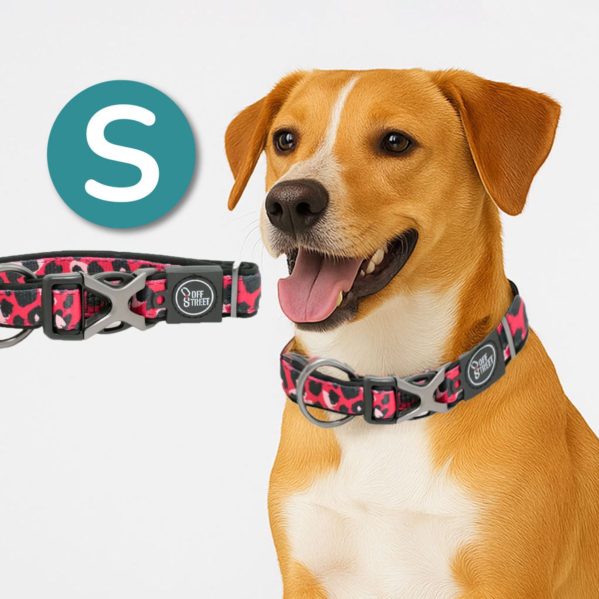 ALL FOR PAWS - Collar Para Perros Premium Leopard  S
