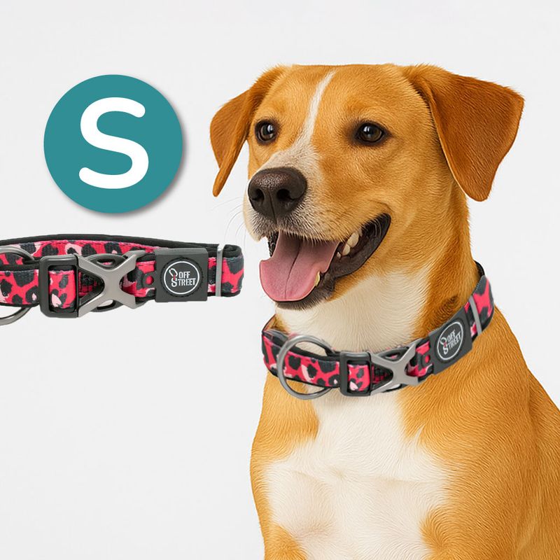 ALL FOR PAWS - Collar Para Perros Premium Leopard  S