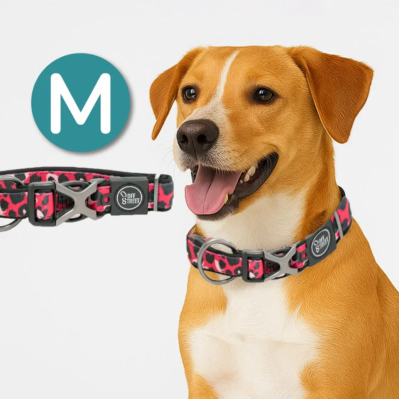 ALL FOR PAWS - Collar Para Perros Premium Leopard M